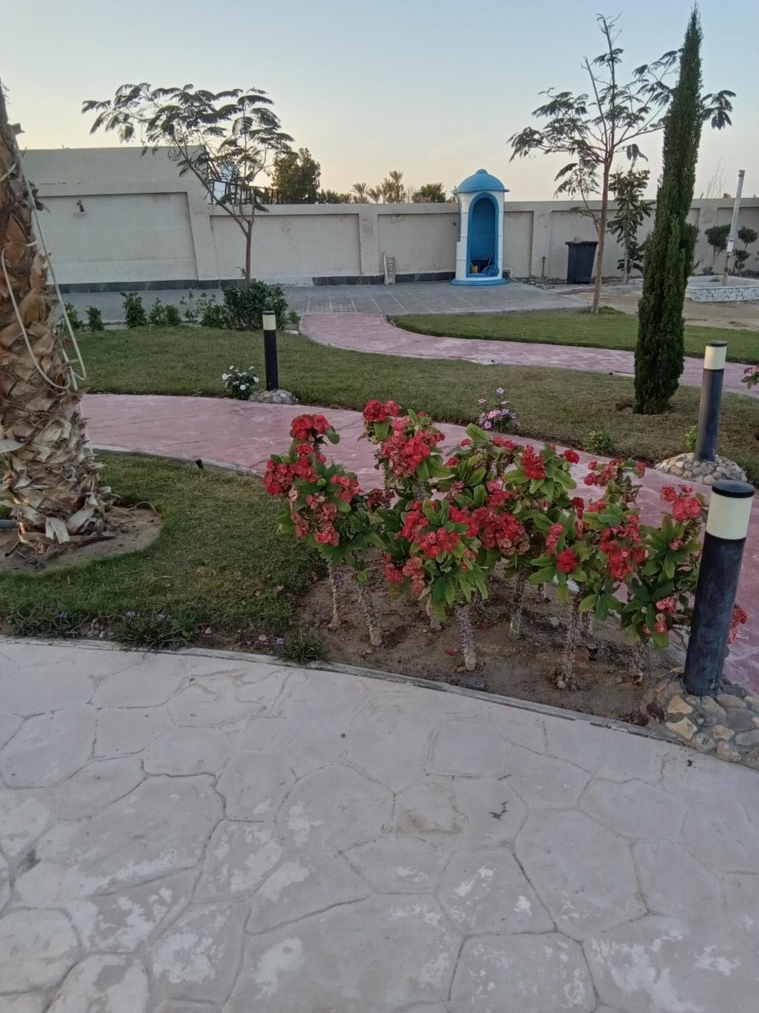 Casablanca Beach For Families And Couples Only Aparthotel Hurghada Exterior foto